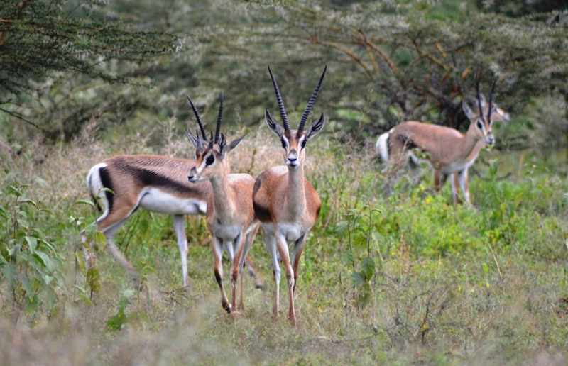 ????????????????????????????????????