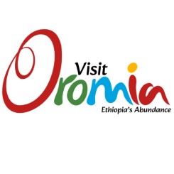 cropped-Colored-Black